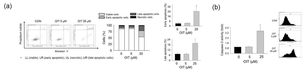 OIT 노출 후 bEND.3 세포에서 (a) apoptosis (Annexin V), necrosis (PI) 분석, (b) caspase-3 활성도 분석
