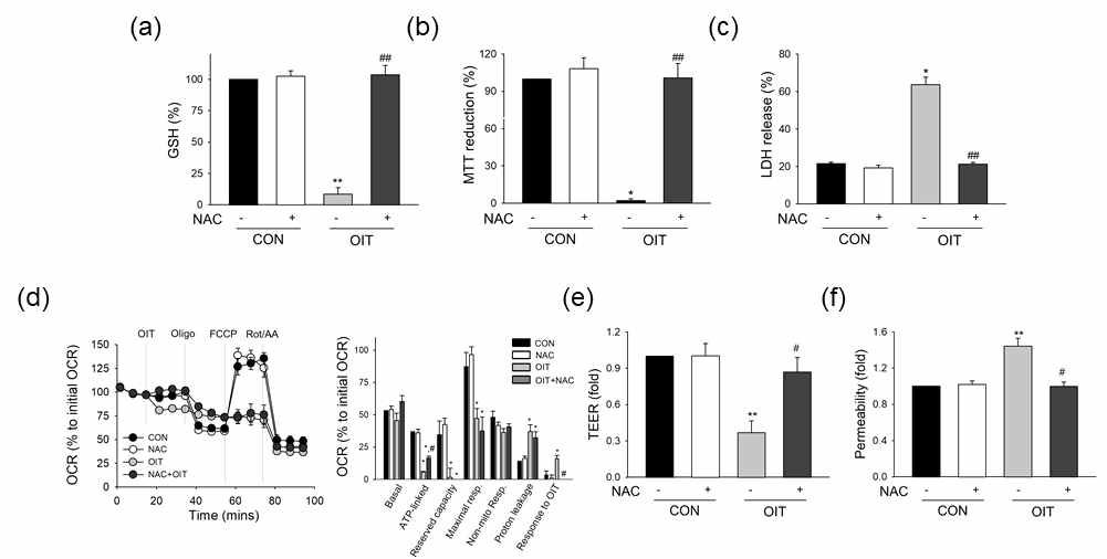 OIT 노출 후 bEND.3 세포에서 (a) apoptosis (Annexin V), necrosis (PI) 분석, (b) caspase-3 활성도 분석