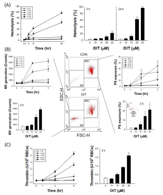 OIT에 대한 Male Human RBC의 시간대별 용혈 현상, PS exposure, MV 생성, Thrombin 생성 정도 분석