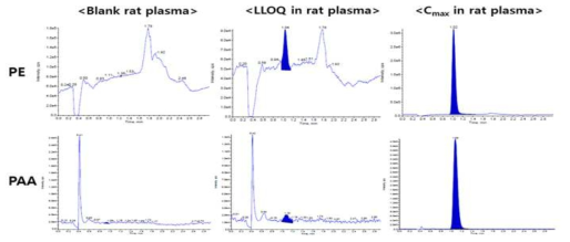 랫드 혈장시료에서의 PE와 PAA의 대표 크로마토그램