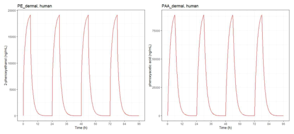 Simulated human steady-state plasma concentration – time profiles of PE (left) and PAA (right) after dermal applications of 100 mg/kg/day. From day 1, PE and PAA were assumed to have reached steady state exposures and PE was applied for 6 hours a day for 4 days