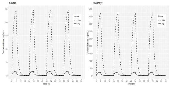 Simulated human steady-state liver (left) and kidney (right) concentration – time profiles of PE and PAA after dermal applications of 100 mg/kg/day. From day 1, PE and PAA were assumed to have reached steady state exposures and PE was applied for 6 hours a day for 4 days