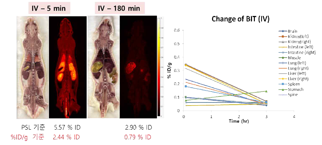 14C-BIT의 정맥 투여 후 방사선량 분석 결과