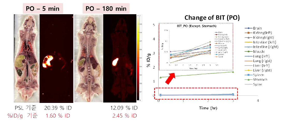14C-BIT의 경구 투여 후 방사선량 분석 결과