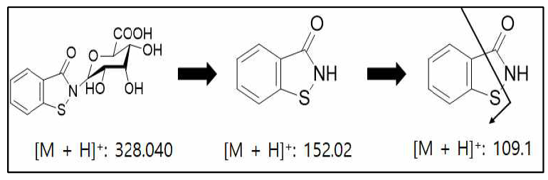 예측된 체내 생성 글루쿠론산 포합체 (BIT-N -glucuronide)의 LC-MS/MS의 SRM