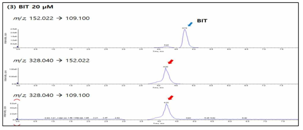BIT-N-glucuronide 생성을 확인하기 위해 인체 간 마이크로솜에서 BIT 20 μM 배양 후, 각 m/z에서 LC-MS/MS 크로마토그램