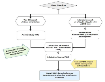 PBPK/PBTK기반 흡입/피부흡수/위해평가 모델 개념