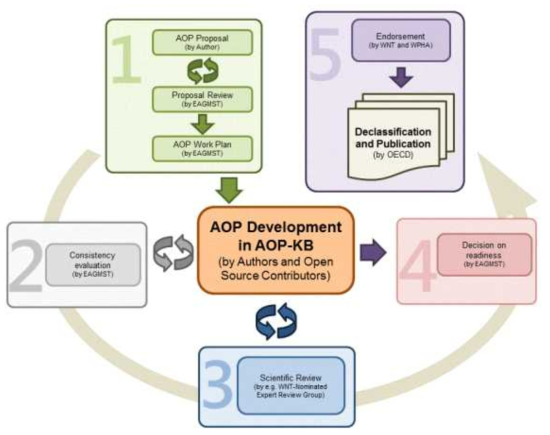 AOP 개발과 검토 과정