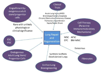 폐질환에 대한 다양한 줄기세포 연구 (Weiss, 2014)