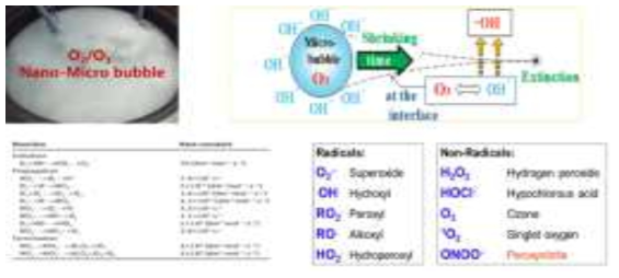 OH 라디칼 발생 메커니즘