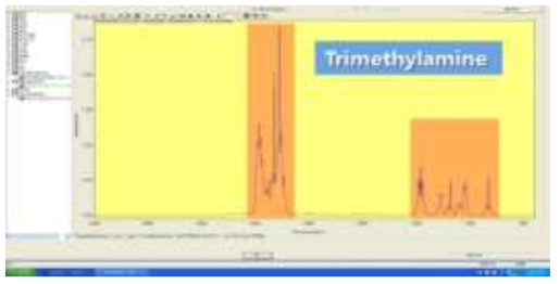 트리메틸아민의 IR 스펙트럼(라이브러리)