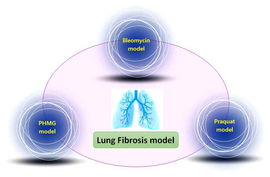 Lung fibrosis model