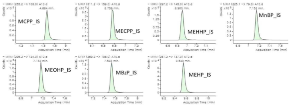 PHT 대사체류 크로마토그램 (Internal standard: 50 ng/mL)
