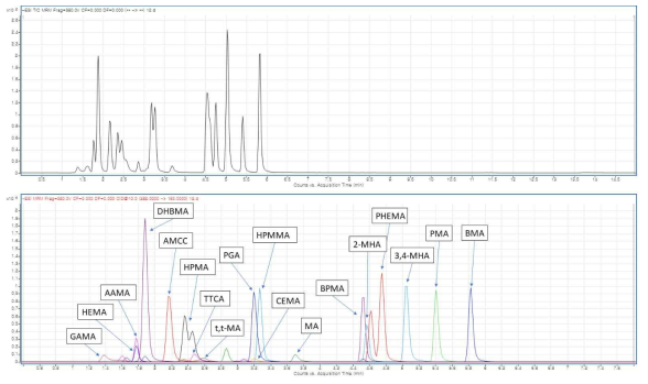 VOC 대사체류의 LC-MS/MS 크로마토그램 (표준물질)