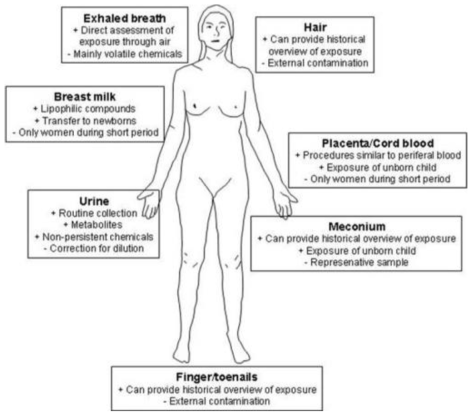 생체 모니터링에 이용되는 시료들의 특성 (출처 : Smolders, R.; Schramm, K.W.; Nickmilder, M.; Schoeters, G. 2009, Applicability of non-invasively collected matrices for human biomonitoring, Environmental Health, 8:8)