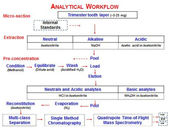 유치의 유기물 글로벌 프로파일링 실험의 분석흐름도. 그림출처: Andra, S.S.; Austin, C.; Wright, R.O.; Arora, M. 2015, Reconstructing prenatal and early childhood exposure to multi-class organic chemicals using teeth: towards a retrospective temporal exposome, Environ Int., 83, 137-145