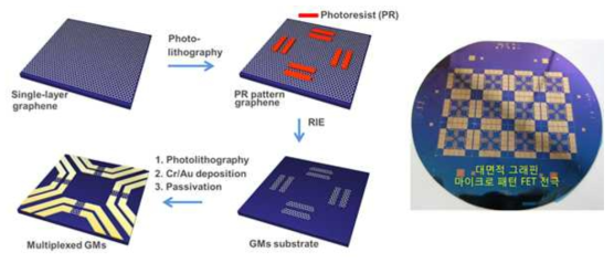 그래핀 마이크로 패턴 다채널 센서 플랫폼 제조