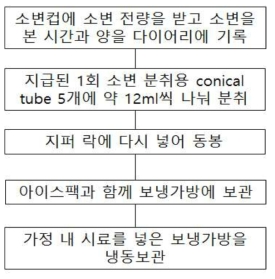 소변 채취 과정 모식도