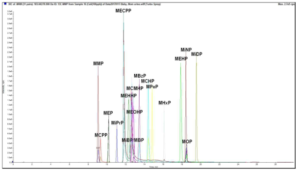 프탈레이트 대사체의 총 이온 크로마토그램(Total ion chromatogram, TIC)