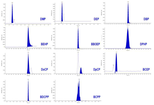 분석대상물질(n=11)의 개별 chromatogram