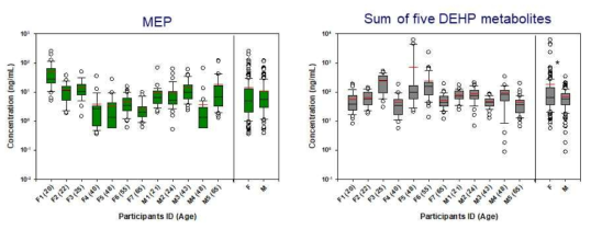 참가자별 주요 프탈레이트류 농도 분포 비교