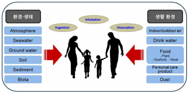인체 중심의 EDCs 다매체/다경로 인체 노출 모식도