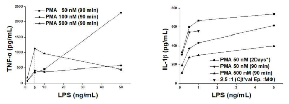 서로 다른 PMA 노출 농도 및 시간을 적용하여 분화시킨 THP-1의 LPS에 대한 반응성 비교