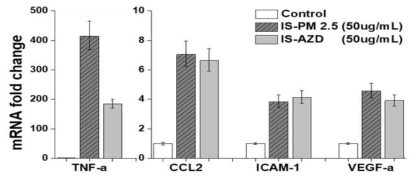 공배양 환경에서 불용성 PM2.5와 Arizona dust에 의한 염증성 인자의 발현