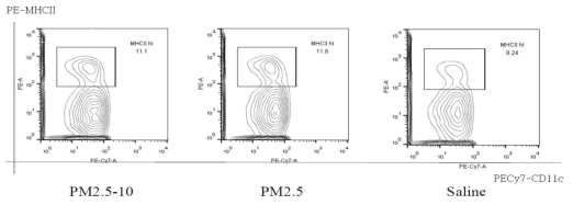 미세먼지 점안 후 임프절내 면역활성화가 증가된 수지상세포(MHC II+ CD11c+) 변화