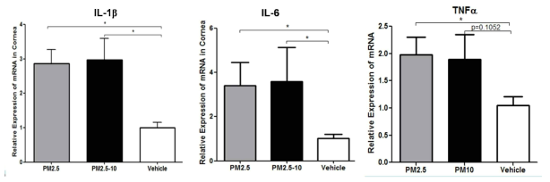 미세먼지 점안 후 안구표면 각결막 조직에서 염증성 사이토카인인 IL-1β 및 IL-6, TNF-α mRNA 발현 (*, p < 0.05)