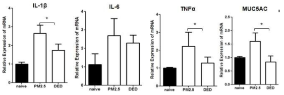 PM2.5에 노출된 군에서 건성안모델의 IL-1β, TNF-α, MUC5AC의 발현 비교