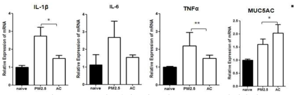 PM2.5에 노출된 군과 AC의 IL-1β, TNF-α의 발현 비교