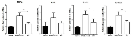PM2.5에 노출된 군과 대조군의 비해 결막조직 내 염증성 사이토카인인 TNF-α, IL-1β, IL-17α 발현 변화