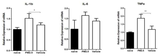 PM2.5에 노출된 군에서 대조군에 비해 마이봄샘에서 염증성 사이토카인의 변화