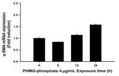 PHMG-P에 의한 시간별 α-SMA 유전자 발현 양상