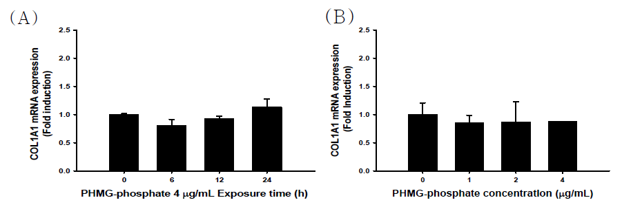 PHMG-P에 의한 콜라겐 분비 지표의 유전자 발현 양상 (A) 시간별 (B) 농도별 변화