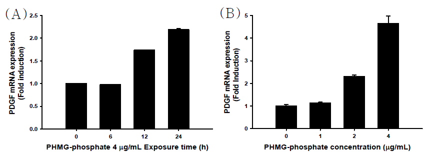 PHMG-P에 의한 PDGF의 유전자 발현 양상 (A) 시간별 (B) 농도별 변화