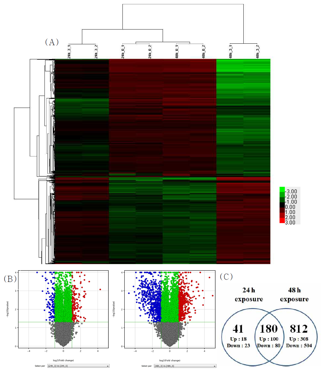 PHMG-P 처리에 의한 mRNA 발현 변화 (A) Hierarchical clustering (B) Volcano plot (C) miRNA 발현 개수에 대한 벤다이어그램