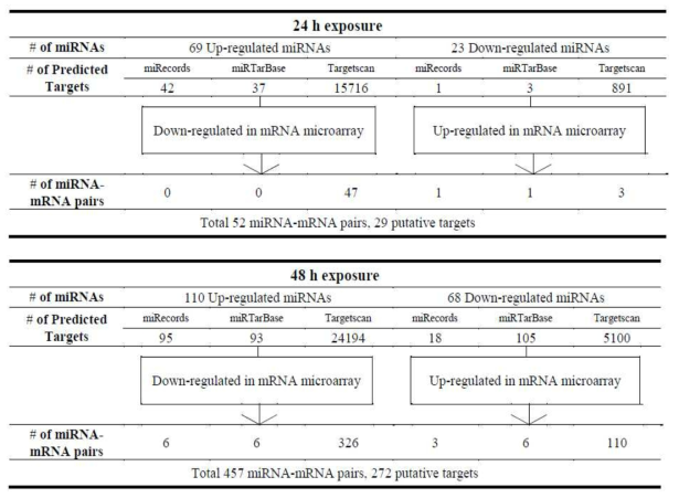 miRNA 및 mRNA microarray 통합 결과