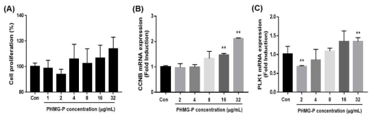PHMG-P에 의한 세포증식 및 유전자 변화 (A) 세포증식 (B) CCNB, (C) PLK1