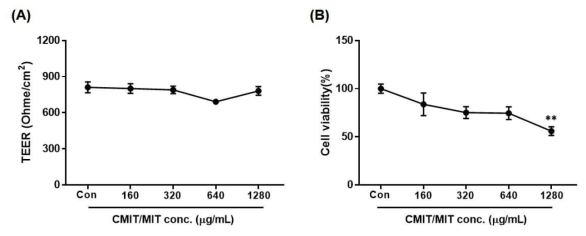 CMIT/MIT에 의한 밀착결합 변화 (A) TEER, (B) 세포 생존률