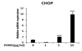 PHMG-P에 의한 CHOP mRNA 발현변화