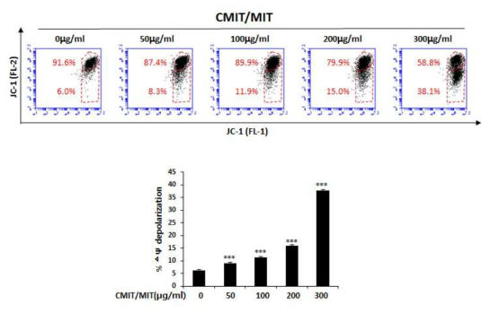 CMIT/MIT에 의한 mitochondria membrane potential의 변화