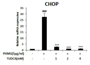 CHOP mRNA 발현변화