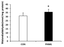 PHMG-P 단회투여에 의한 간 내 Malondialdehyde 농도의 변화