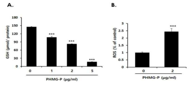 AML12 세포에 PHMG-P를 처리하였을때 GSH감소와 산화적 스트레스 유도