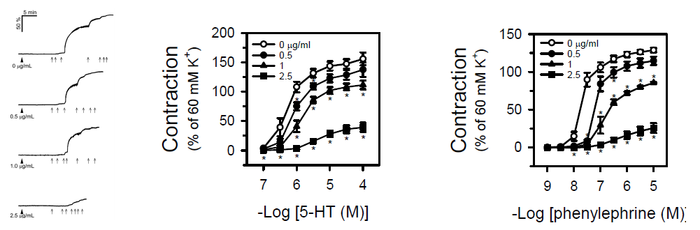 CMIT/MIT가 5-HT(왼쪽 패널) 또는 phenylephrine(오른쪽 패널)에 의해 유도된 혈관 수축에 미치는 영향