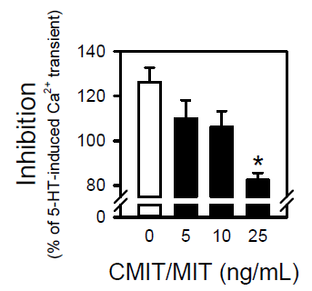 CMIT/MIT가 5-HT에 의해 유도된 혈관 평활근 세포 내 Ca2+ 증가에 미치는 영향