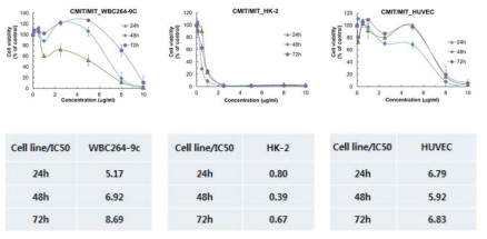 CMIT/MIT의 HK-2세포에 대한 세포독성