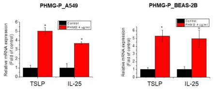 A549 및 BEAS-2B 세포에서 PHMG-P의 IL-25, TSLP 유전자 발현에 대한 영향조사